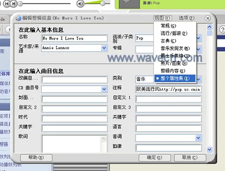 Real One Player Media Library Tag Editor